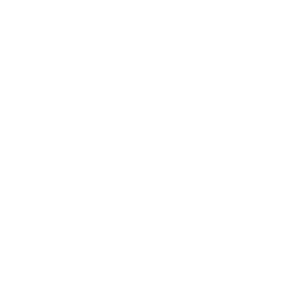 BLAKE ESSENCE logo